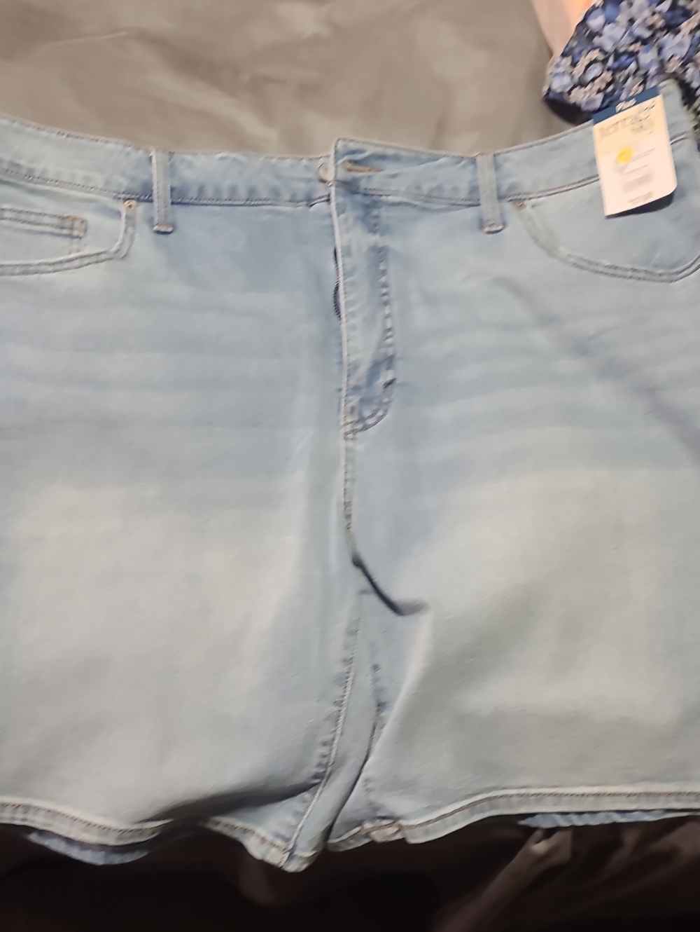 Terra & Sky Light Blue Women's Denim Shorts